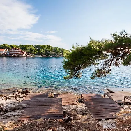 Agava Božava