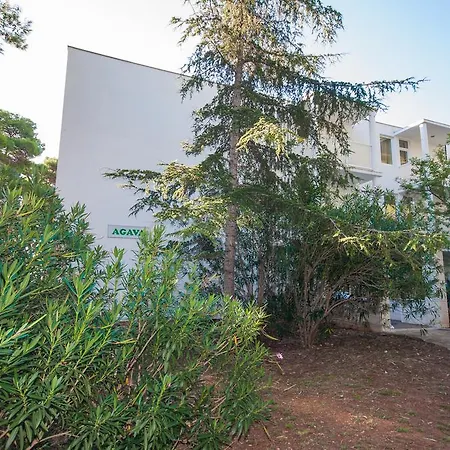 Agava Hotel