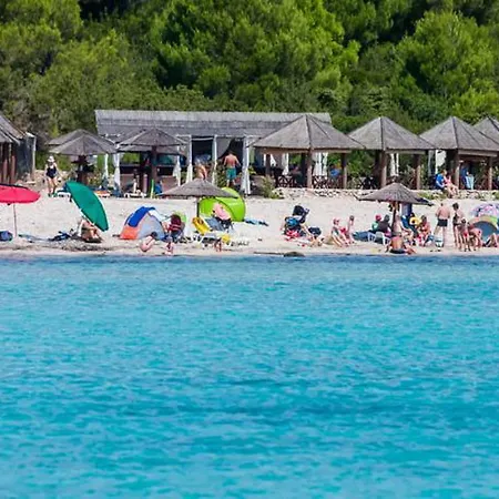 Agava Božava