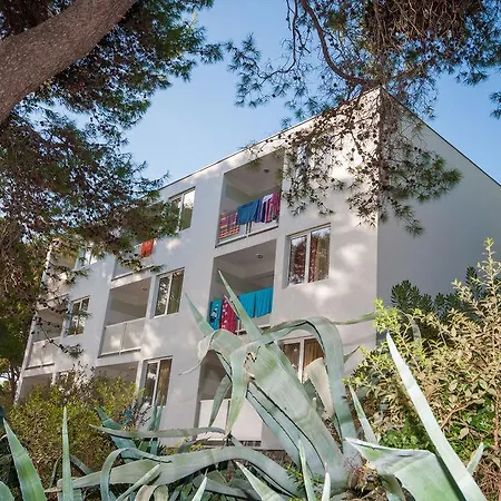 Hotel Agava