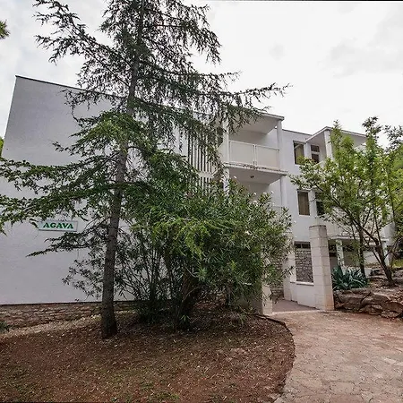 Agava Božava