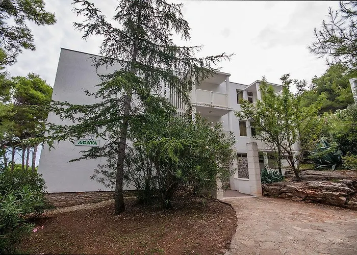 Agava Božava